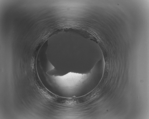 X0000071780458200607150059