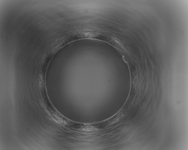 X0000071780459200607150059