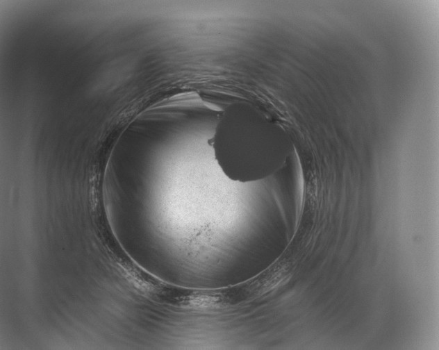 X0000071780462200607150059