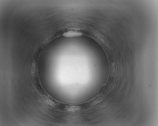 X0000071780463200607150059