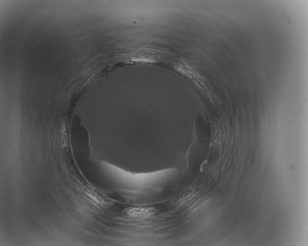 X0000071780465200607150059