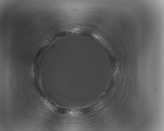 X0000071780466200607150059