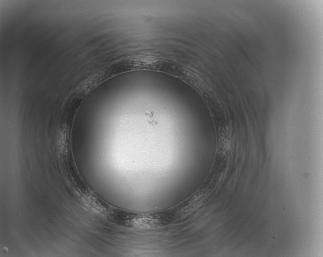 X0000071780468200607150059