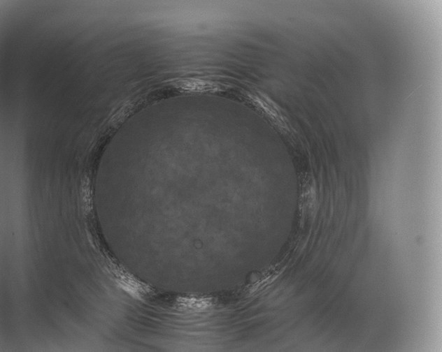 X0000071780469200607150059