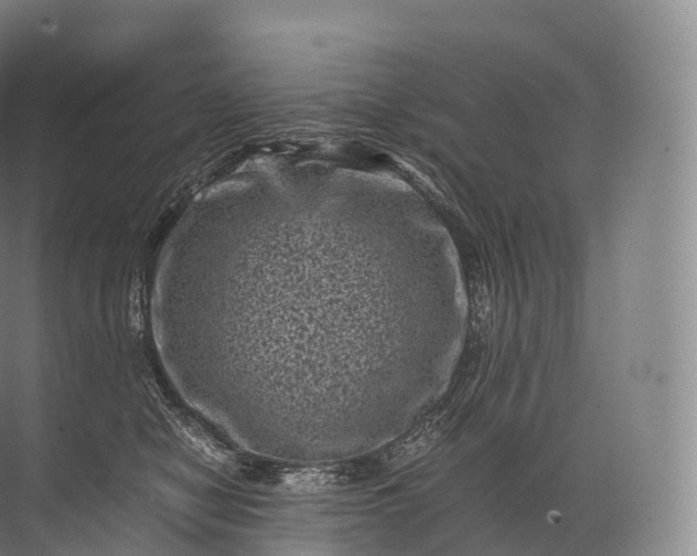 X0000071780470200607150059