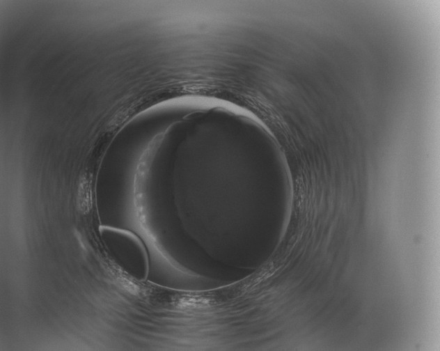 X0000071780471200607150059