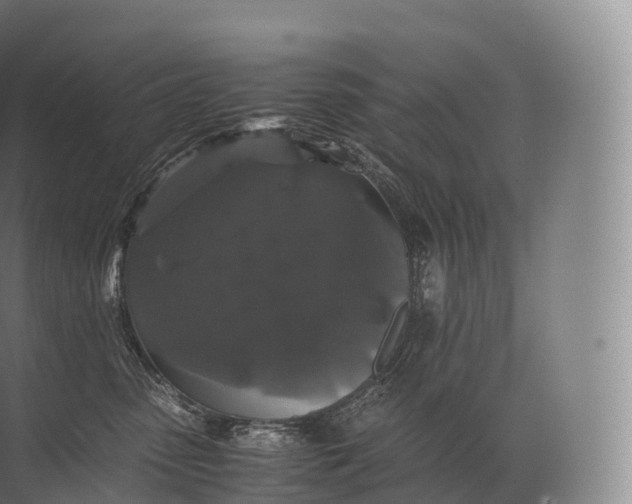 X0000071780475200607150059