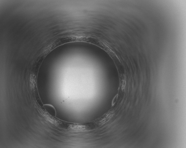 X0000071780476200607150059