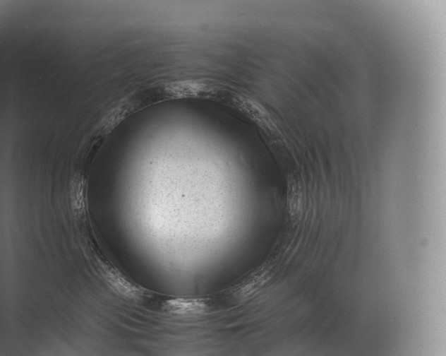 X0000071780477200607150059