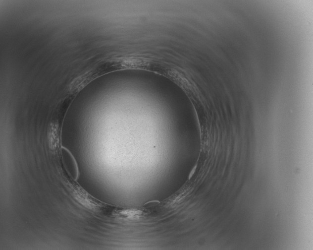 X0000071780478200607150059