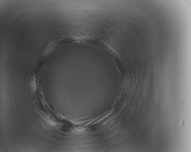 X0000071780479200607150059