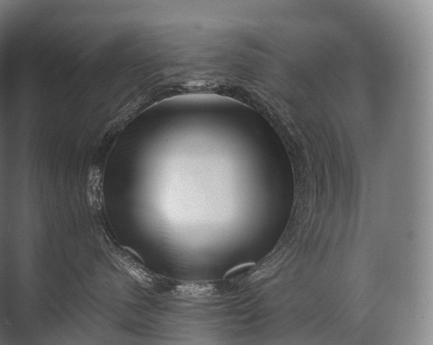 X0000071780480200607150100