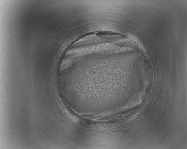 X0000071780481200607150059