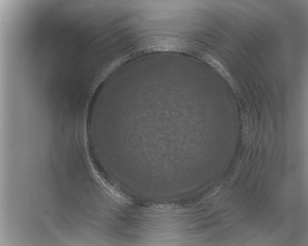 X0000071780482200607150059