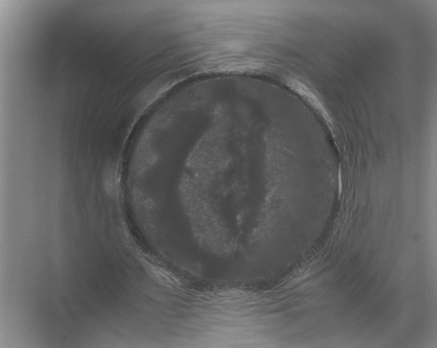 X0000071780483200607150059