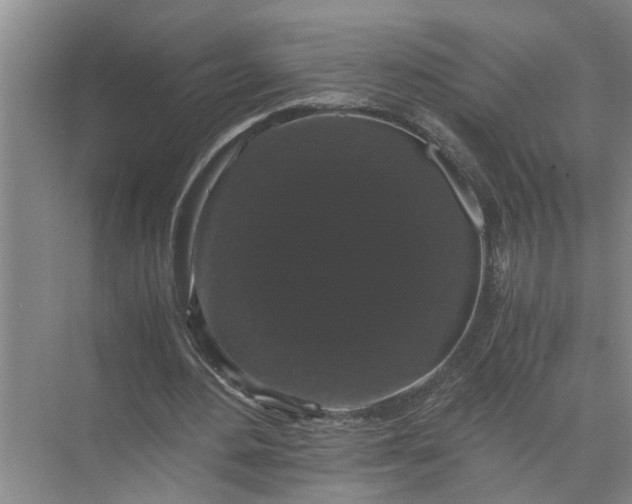 X0000071780484200607150059