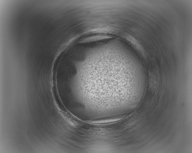 X0000071780486200607150059