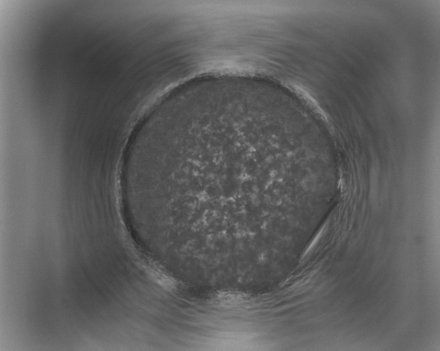 X0000071780487200607150059