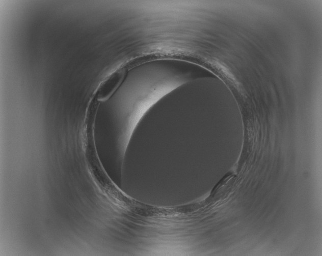 X0000071780488200607150059