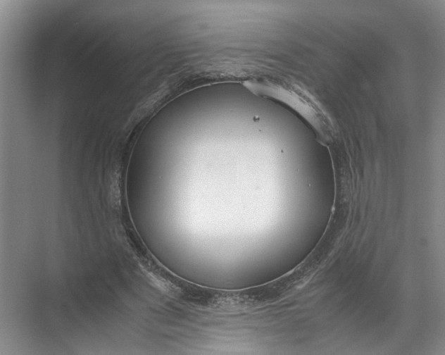 X0000071780489200607150059