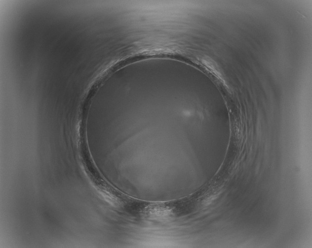 X0000071780491200607150059