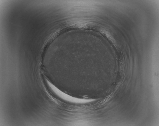 X0000071780493200607150058