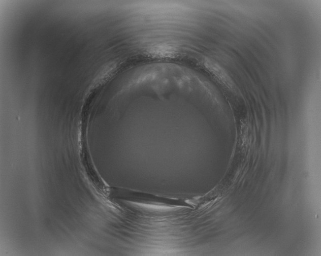 X0000071780494200607150058