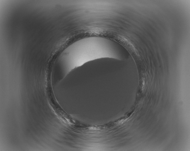 X0000071780496200607150058