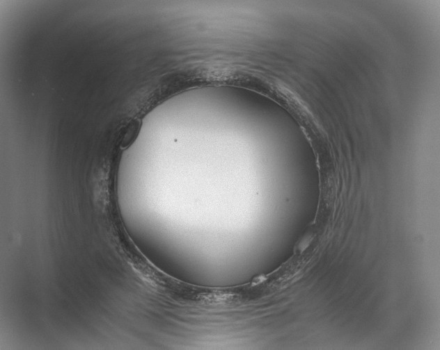 X0000071780497200607150058