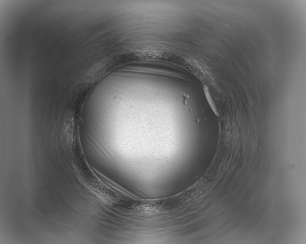 X0000071780498200607150058