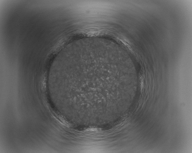 X0000071780499200607150058