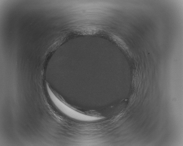 X0000071780501200607150058