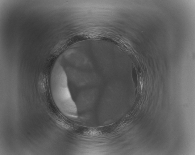 X0000071780503200607150058