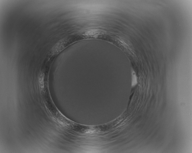 X0000071780504200607150058