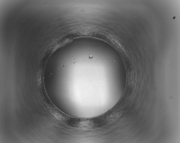 X0000071780505200607150058