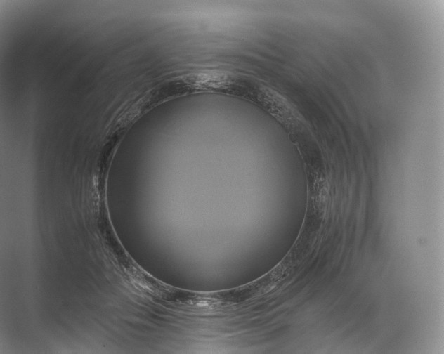 X0000071780506200607150058