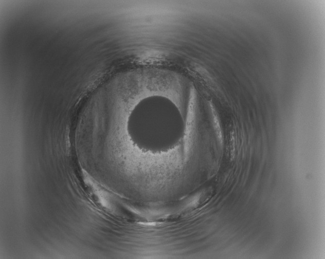 X0000071780508200607150058