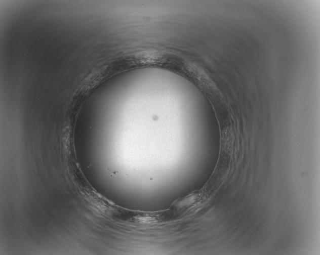 X0000071780509200607150058