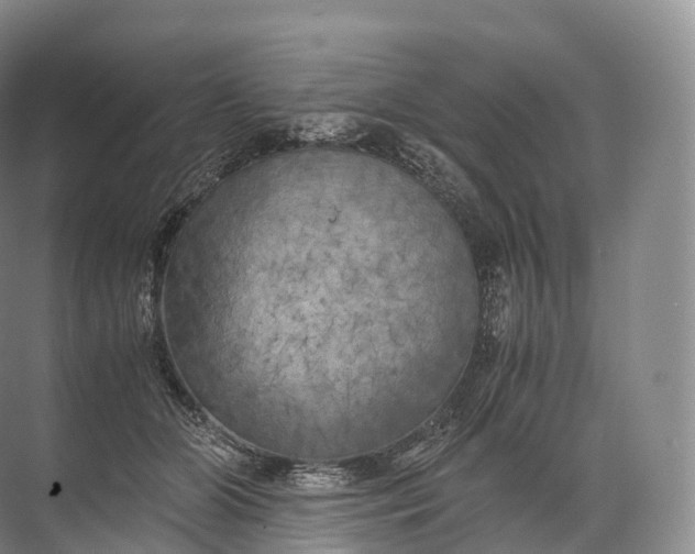 X0000071780510200607150058