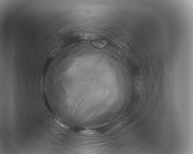 X0000071780511200607150058