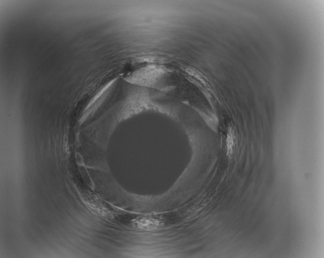 X0000071780512200607150058