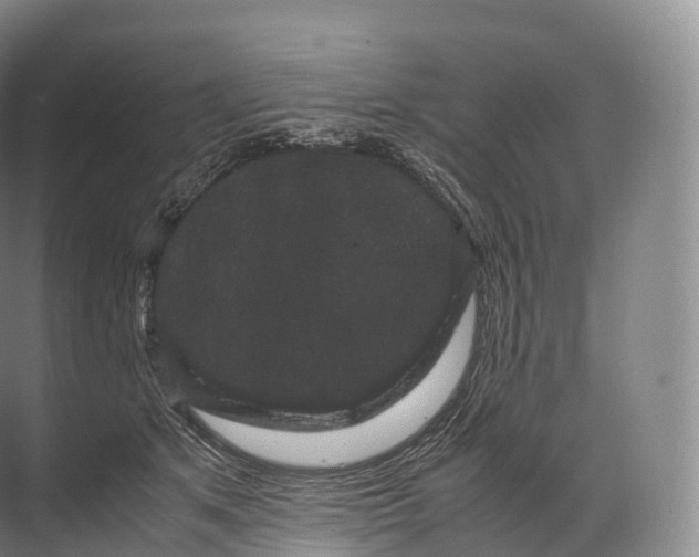 X0000071780513200607150058