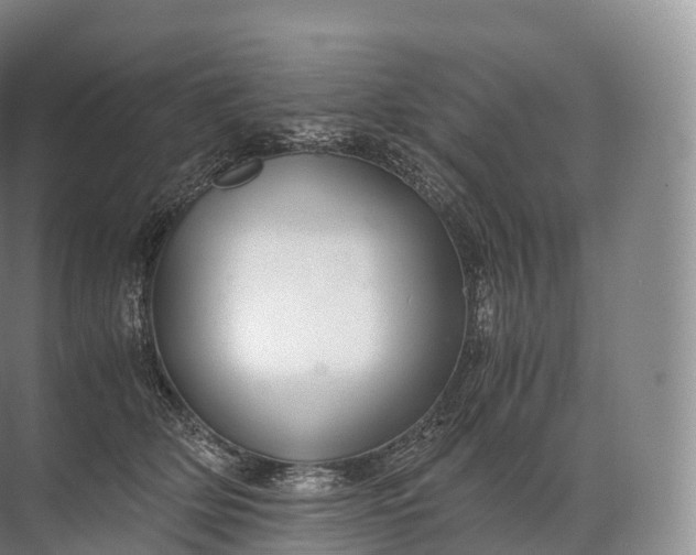 X0000071780514200607150058