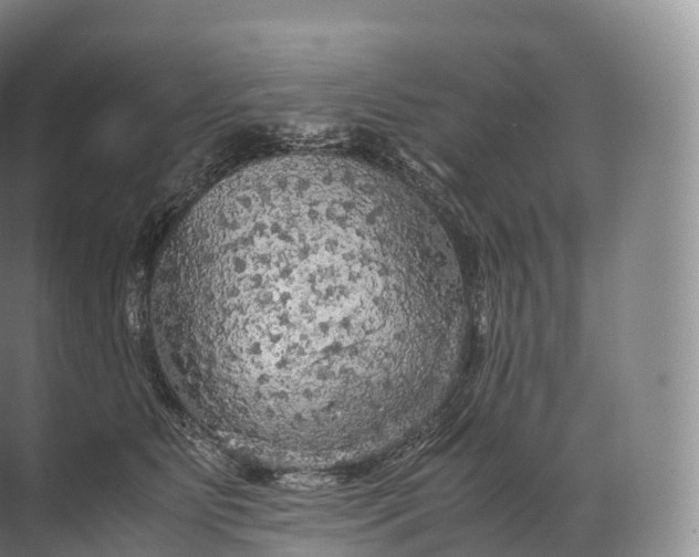 X0000071780515200607150058