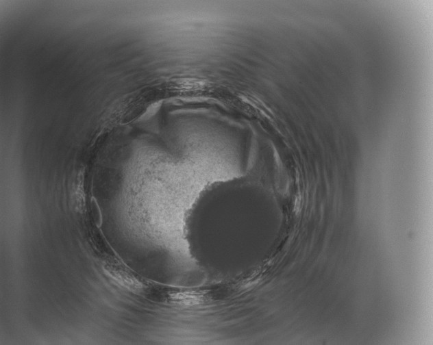 X0000071780516200607150058