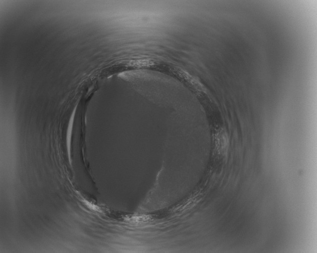 X0000071780517200607150058