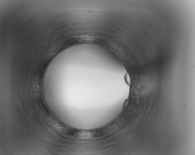 X0000071780518200607150058