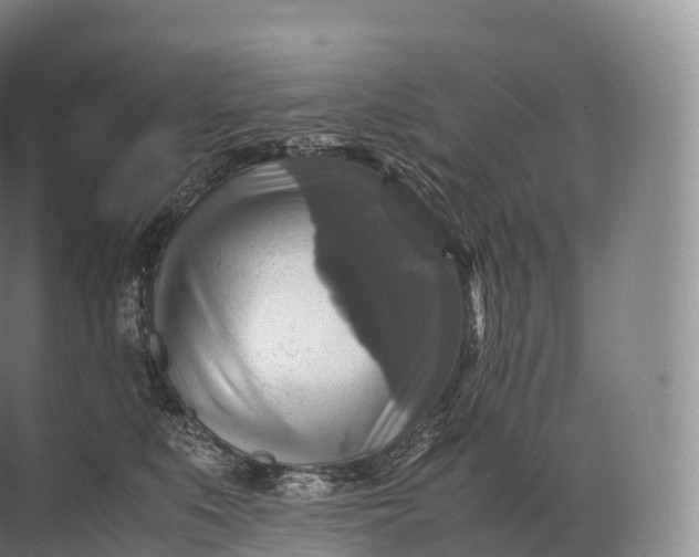 X0000071780519200607150058