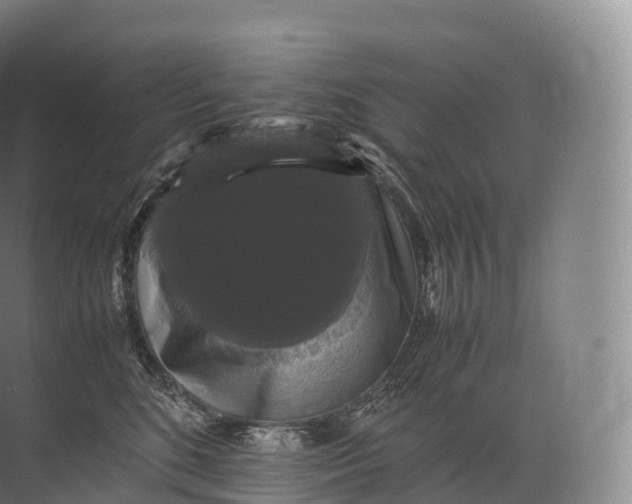 X0000071780520200607150058