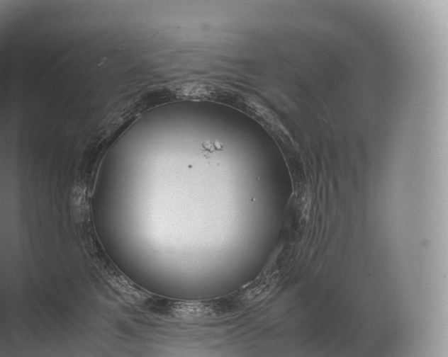 X0000071780521200607150058